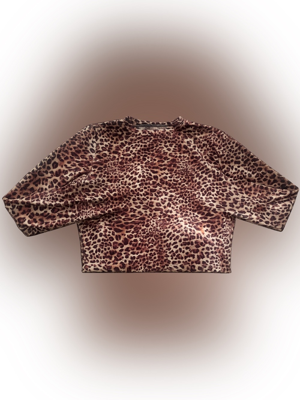 Leopard Print Long Sleeve Top